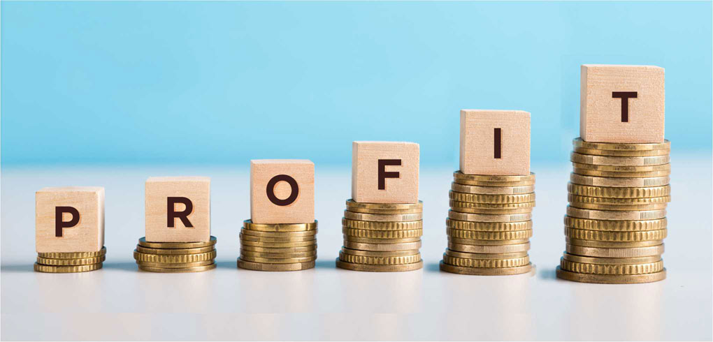 Corporate Wakala Deposit - Profit Growth & Coins Visual